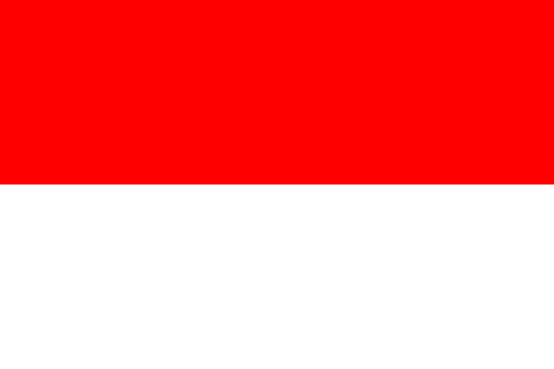 インドネシア語上達完全マップ｜おすすめの参考書・アプリ・Youtube動画・Webサイト
